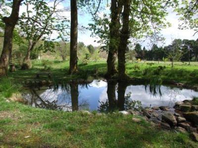 Hafan Y Coed Bed & Breakfast Abercraf Exterior foto